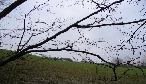 Bucklige Welt