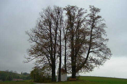 Bucklige Welt