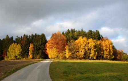 Bucklige Welt