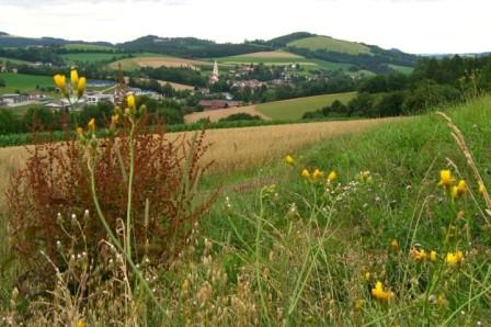 Bucklige Welt