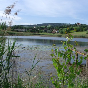 Bucklige Welt