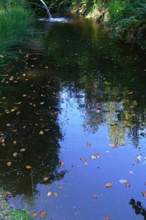 Bucklige Welt