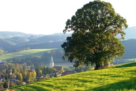 Bucklige Welt