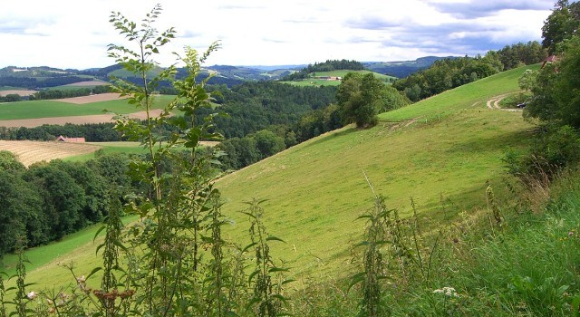 Bucklige Welt