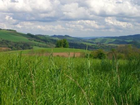 Bucklige Welt