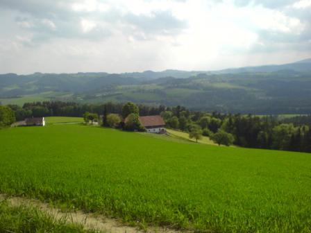 Bucklige Welt