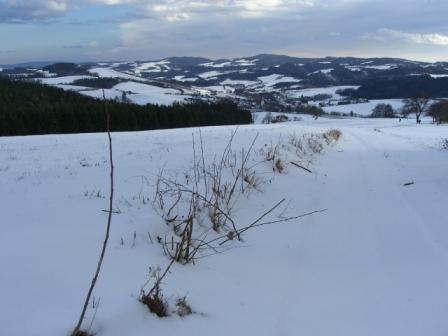 Bucklige Welt