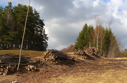 Bucklige Welt