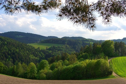 Bucklige Welt