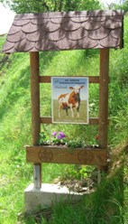 Bucklige Welt