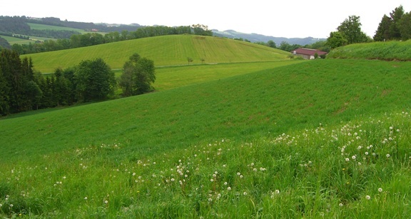 Bucklige Welt