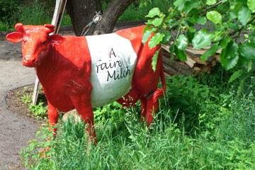 Bucklige Welt