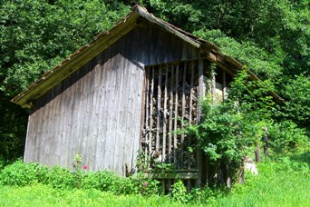 Bucklige Welt