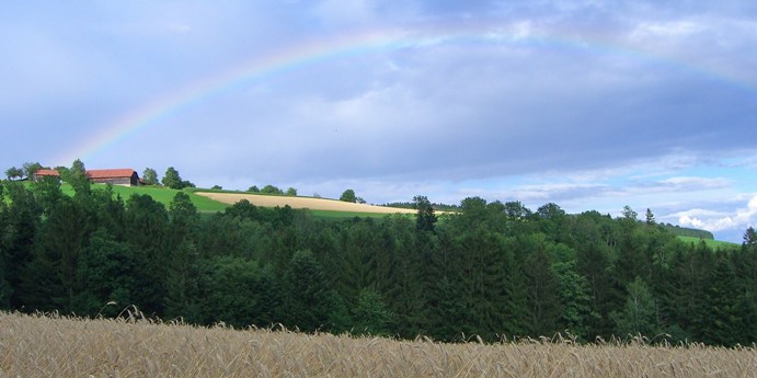 Bucklige Welt