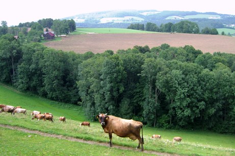 Bucklige Welt