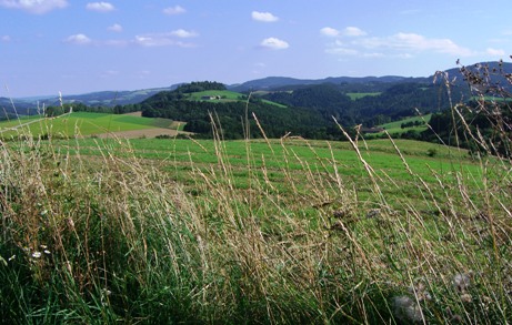 Bucklige Welt