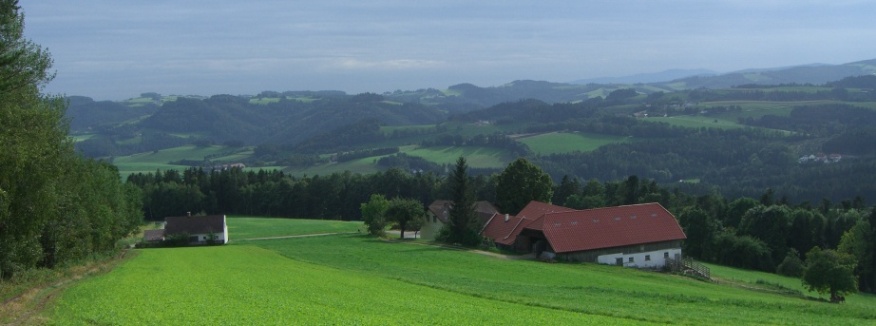 Bucklige Welt