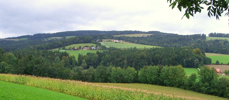 Bucklige Welt