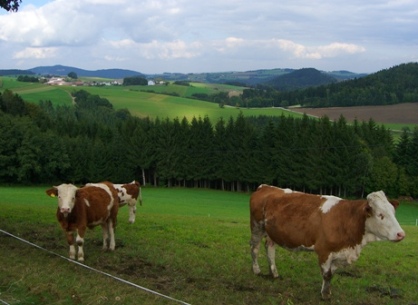 Bucklige Welt