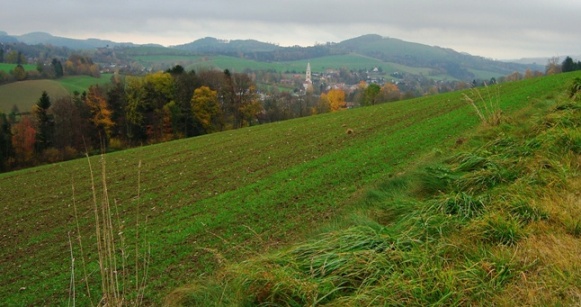 Bucklige Welt