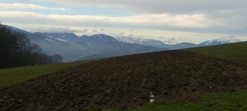 Bucklige Welt