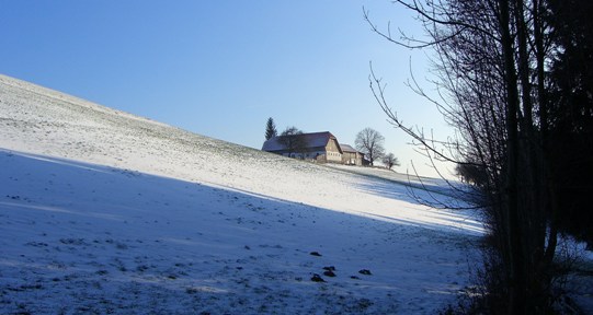 Bucklige Welt