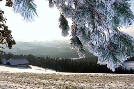 Bucklige Welt