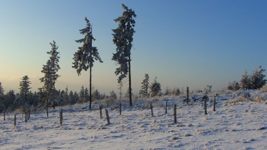 Kühriegel, 896 m, Bucklige Welt