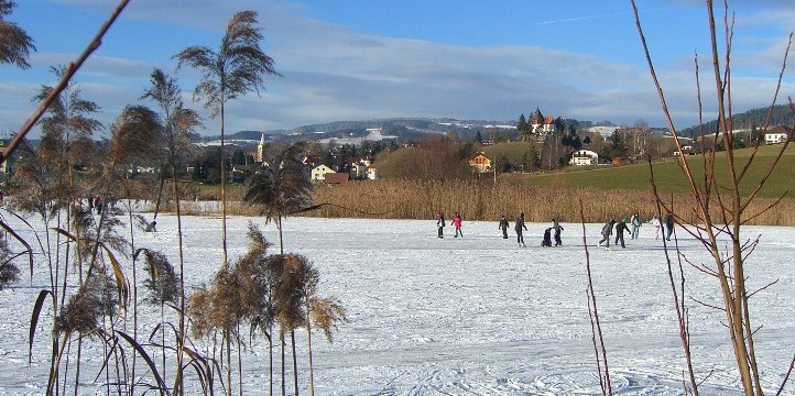 Landschaftssee Krumbach, 500 m, Bucklige Welt