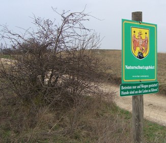 Margarethener Berg, 205 m