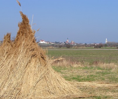B10 Neusiedler Radwanderweg - Blick auf Rust, 123 m