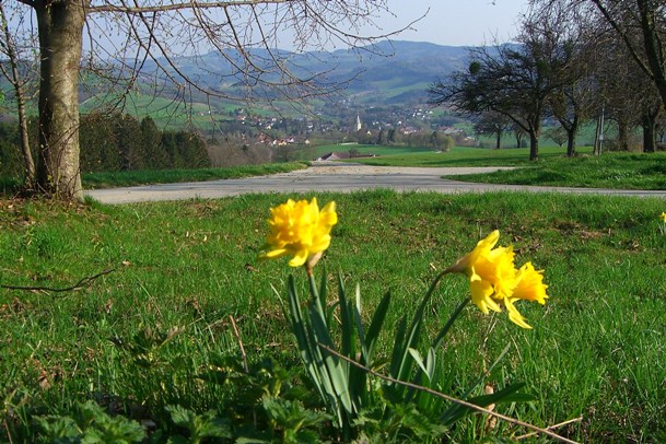 Blick auf Krumbach, Bucklige Welt