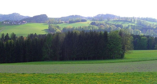 Blick auf Königsegg, Bucklige Welt