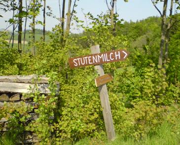 Bucklige Welt