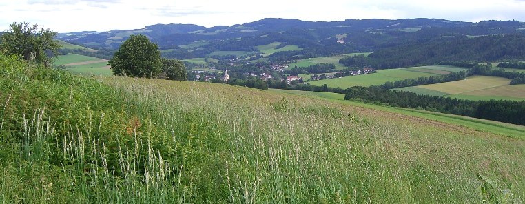 Bucklige Welt