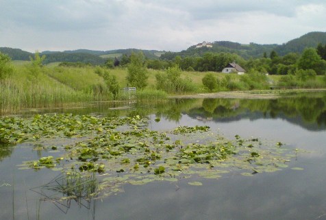 Bucklige Welt
