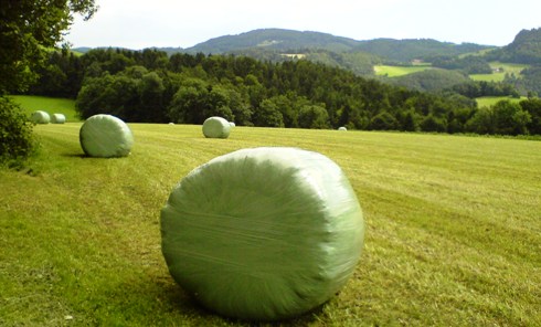 Bucklige Welt