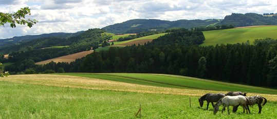 Bucklige Welt