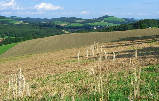 Bucklige Welt