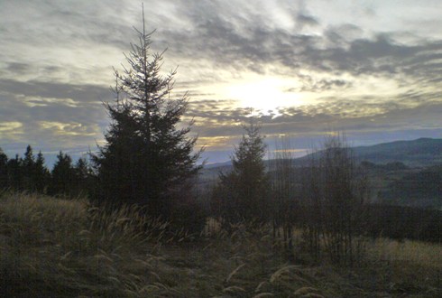 Bucklige Welt