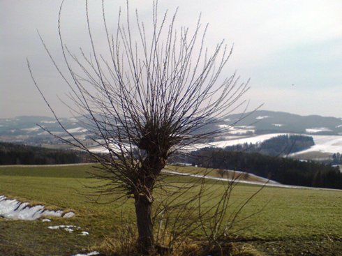 Bucklige Welt