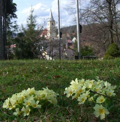 Bucklige Welt