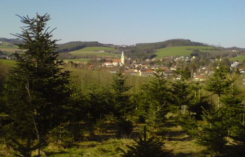 Bucklige Welt