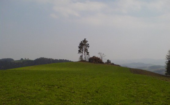 Bucklige Welt