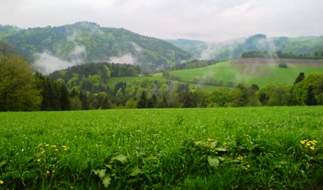 Bucklige Welt