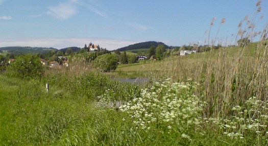 Bucklige Welt