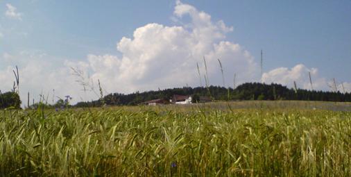 Bucklige Welt