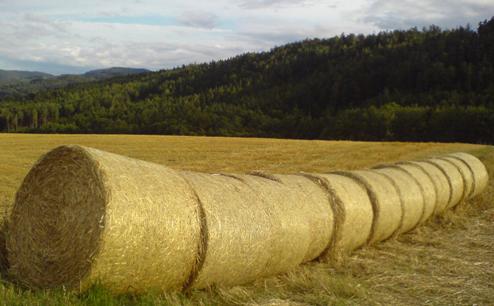 Bucklige Welt