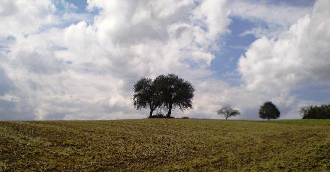 Bucklige Welt