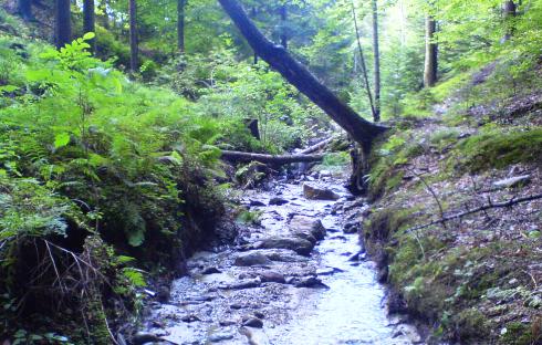 Bucklige Welt